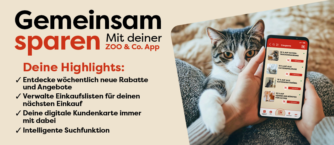 Entdecke unsere neue ZOO & Co. App!