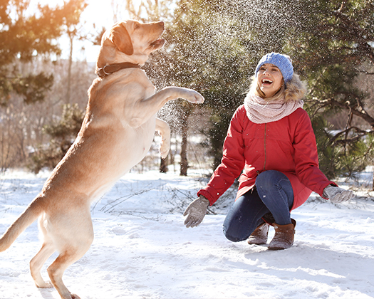 Frau und Hund spielen im Schnee